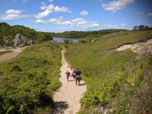 Bosherston Lily Ponds, Pembrokeshire