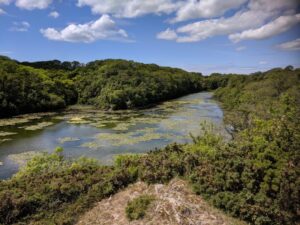 Bosherston Lily ponds, Pembrokeshire