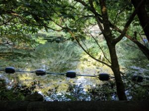 Woodlands Family Theme Park, Dartmoor