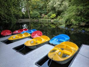 Woodlands theme park, Dartmoor