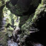 17 top tips for Dartmoor with kids - wild and miniature ponies 6 Dartmoor