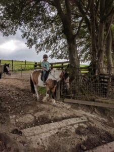 Horse riding, Dartmoor