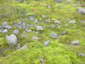 Iceland landscape, Iceland with kids