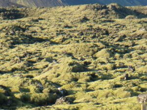 Iceland landscape,