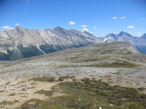 Parker Ridge Trail