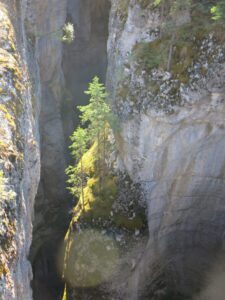 Malign Canyon