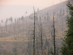 Kamloops wild fire scenery