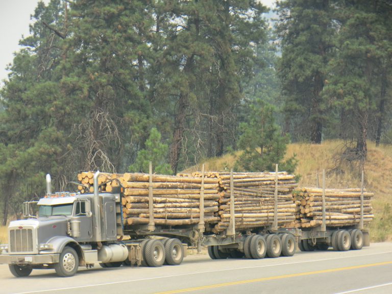 Canadian Log truck