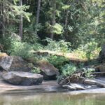 33 top tips for a family Canada Road Trip - via Big Foot, the Rockies and Vancouver Island 6 Top Bridge, Vancouver Island