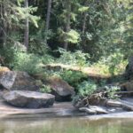 Top Bridge, Vancouver Island