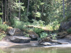 Top Bridge, Vancouver Island