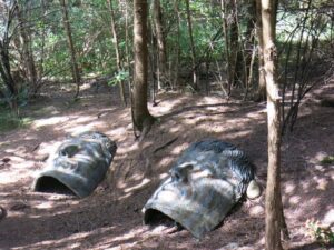 North Island Wildlife Recovery Centre