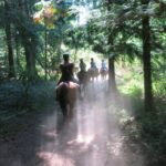 33 top tips for a family Canada Road Trip - via Big Foot, the Rockies and Vancouver Island 14 Horse riding Errington