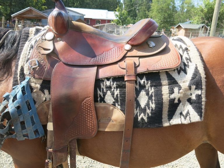 Pony trek at Errington, BC