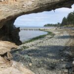33 top tips for a family Canada Road Trip - via Big Foot, the Rockies and Vancouver Island 4 Miracle Bay