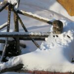 Monkeys in the snow at Moscow zoo