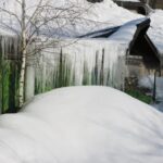 Icicles at Moscow zoo