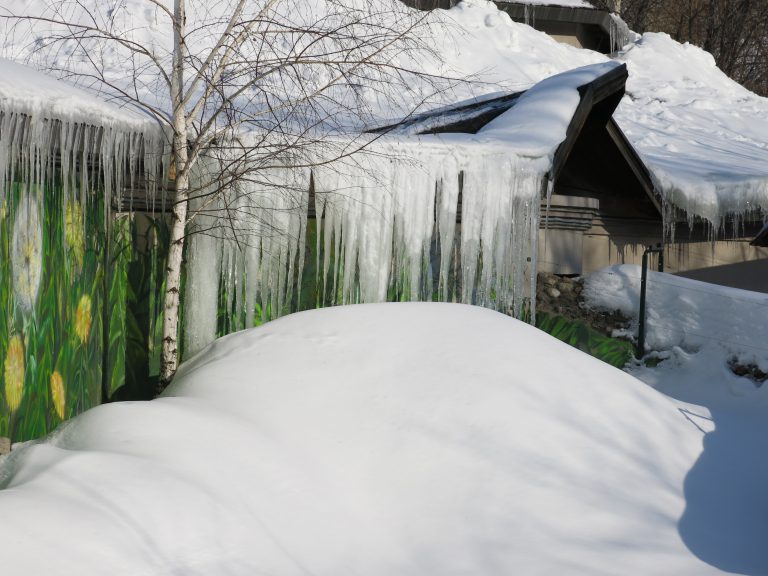 Icicles at Moscow zoo