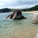 17 top tips for Dartmoor with kids - wild and miniature ponies 3 Blackpool sands, Best beaches UK, Devon holidays