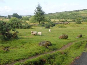 Dartmoor