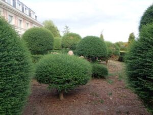 Vienna Dream Castle Hotel Disneyland Paris