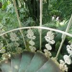 Family trip to Europe itinerary: Fair(s and) Cities -Paris, Disney, Brussels, Duinrell and Amsterdam 6 Kew Gardens - glass house