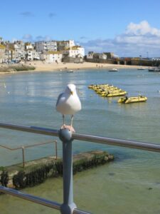 Harbour Beach, St Ives beache