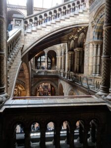 National History Museum, London, Budget travel