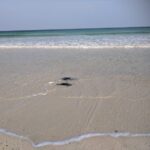 Porthmeor Beach, St Ives Beaches