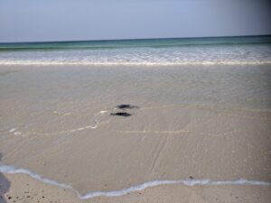 Porthmeor Beach, St Ives Beaches