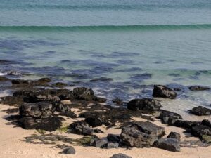 Porthmeor Beach, St Ives beaches