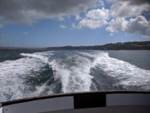 St Ives seal boat trip from Harbour Beach, St Ives beache