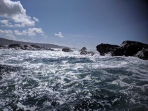 St Ives seal boat trip from Harbour Beach, St Ives beache