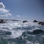 Seal Boat from Harbour Beach, St Ives Beaches