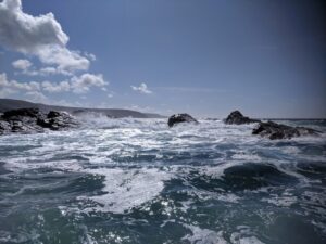 Seal Boat from Harbour Beach, St Ives Beaches