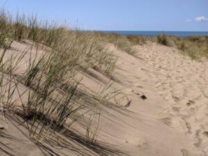 Croyde Bay, Best beaches in UK