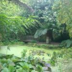 Trengwainton Garden, National Trust, budget travel