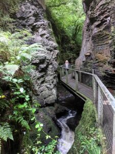 Lydford Gorge