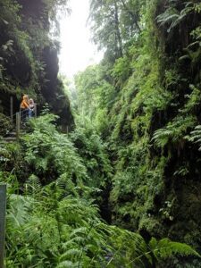 Lydford Gorge