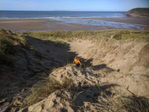 Croyde Bay beach - sand dunes