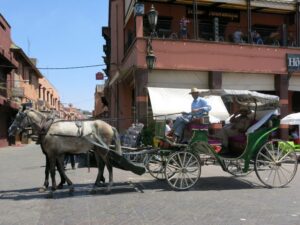 Marrakesh Kasbah, Morocco with kids