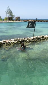 Swimming with dolphin Ocho Rios, Jamaica all inclusive