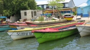 Black River Crocodile tour, Jamaica all inclusive