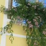 11 top tips for Portugal with kids - Lagos to Lisbon 10 Lagos town