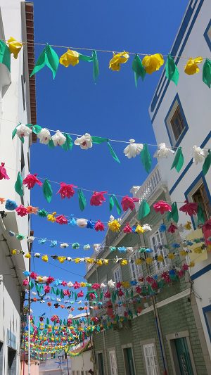 bunting at Odeciexe, on the way from Lagos to Lisbon