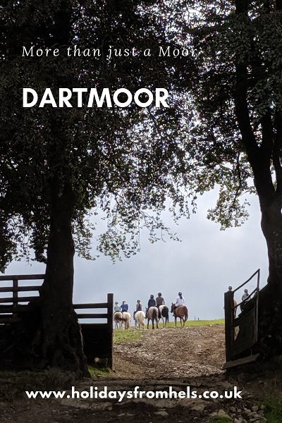 Dartmoor ponies and prisons, travel tales
