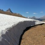 Curve of ice on the Parker Ridge Trail, Canadian Rockies