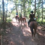 Horseriding, Errington, things to do in Parksville