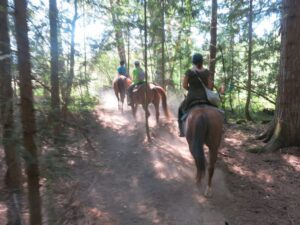 Horseriding, Errington, things to do in Parksville