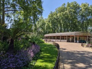 ST James' Park, London for teens